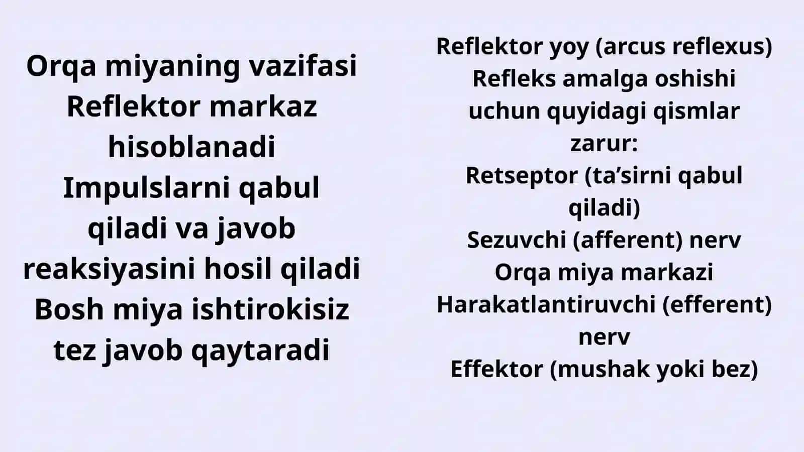Orqa miya reflekslari 3