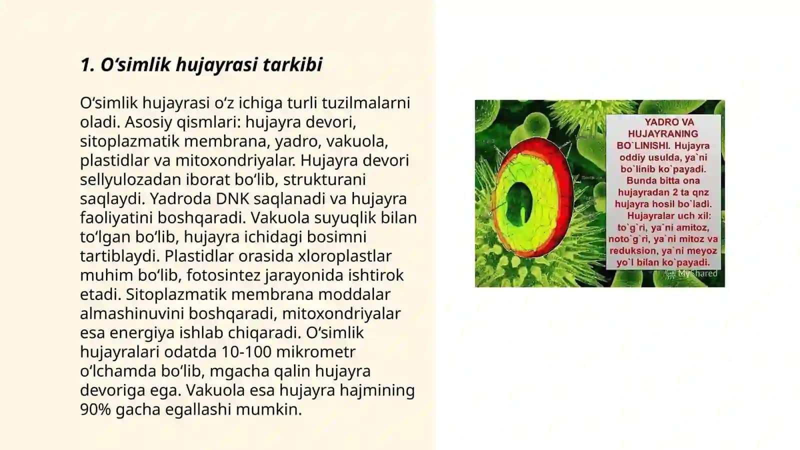 Oʻsimlik hujayrasining tuzilish va ontogenezi 3