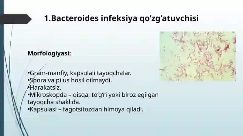 Patogenanaerobklostridialbo'lmaganinfektsiyaqo'zg'atuvchilari(Bacteroides,Prevotella, Fusobacterium)kasalliklarpatogenezi,laboratortashhisi 3
