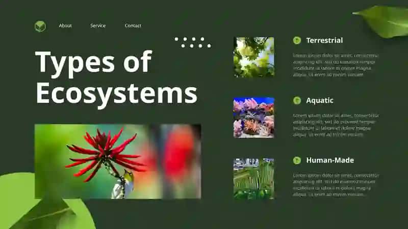 ECOSYSTEMS 3