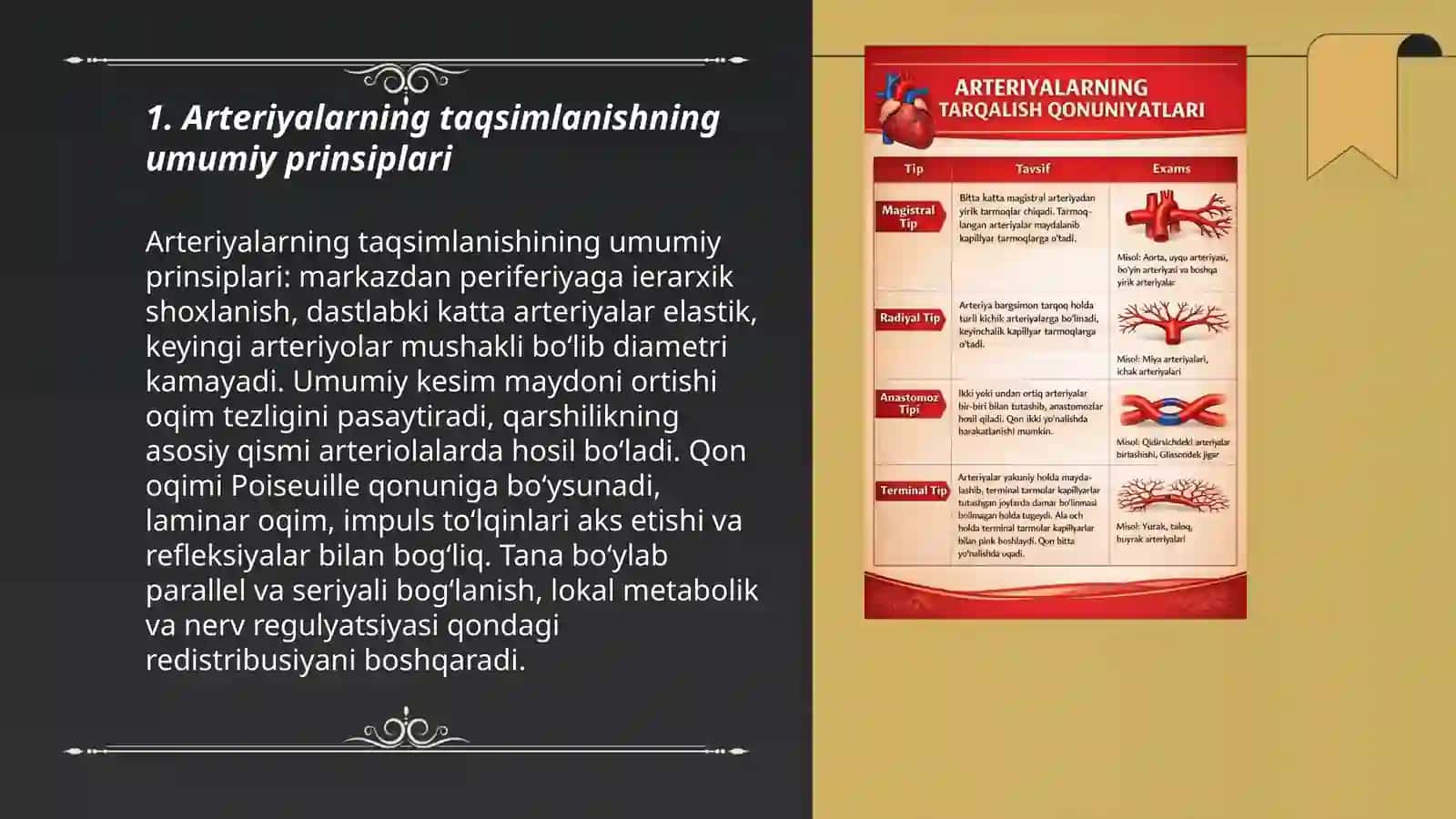 Arteriyalarning tarqalish qonuniyatlari 3
