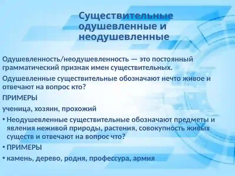 Имя существительное 3