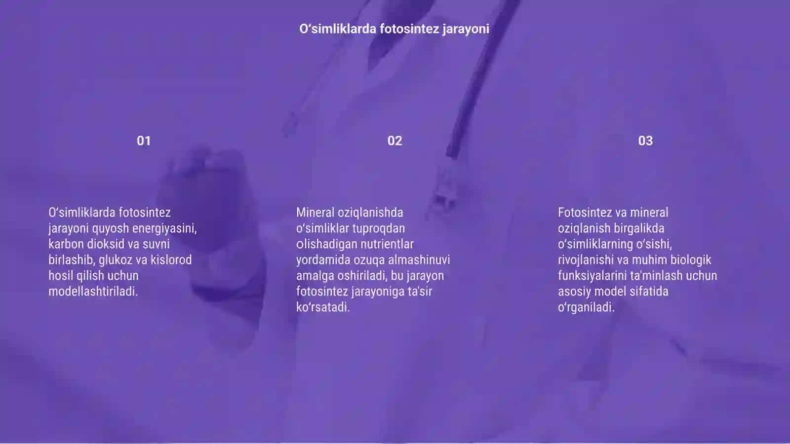 Oʻsimliklarda fotosintez va mineral oziqlanishni modellashtirish 3