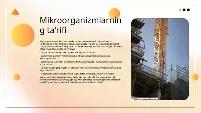 Oziq ovqat sanoatida mikroorganizmlardan foydalanish 3