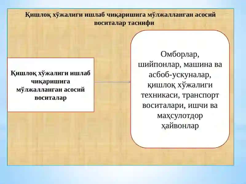 Қишлоқ хўжалиги корхоналарида бухгалтерия ҳисобининг хусусиятлари 3