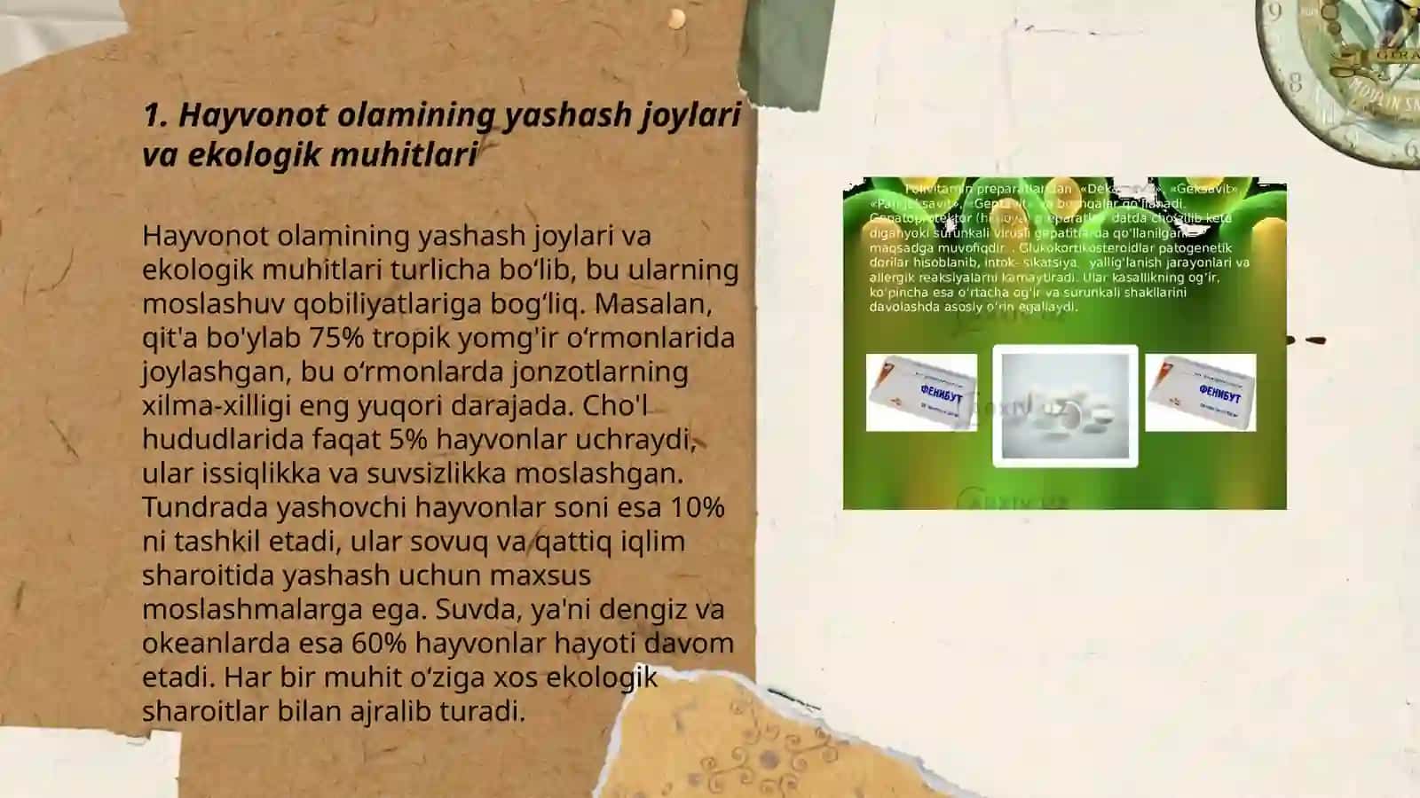 Hayvonot olamining yashash joylari va ekologik muhitlari 3