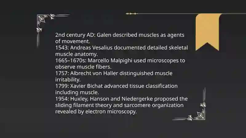 Dates to Remember - Types of Muscle Tissue 3