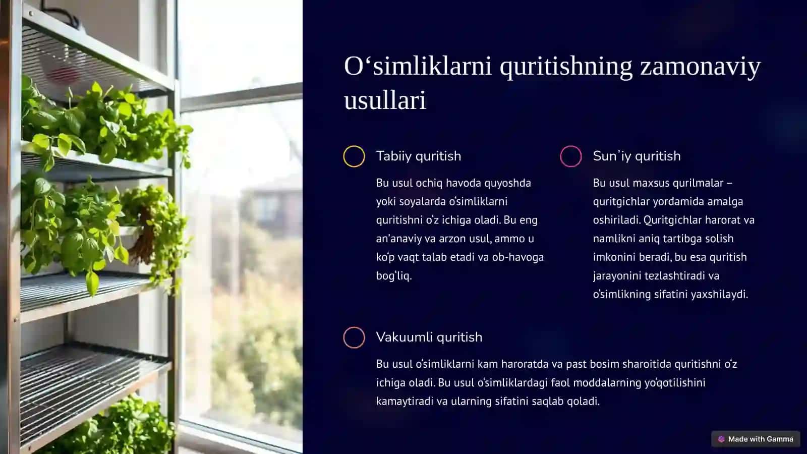 Tabiiy dorivor o‘simliklar mahsulotlarini yig‘ish, quritish va saqlashning zamonaviy innovatsion texnologiyalari 3