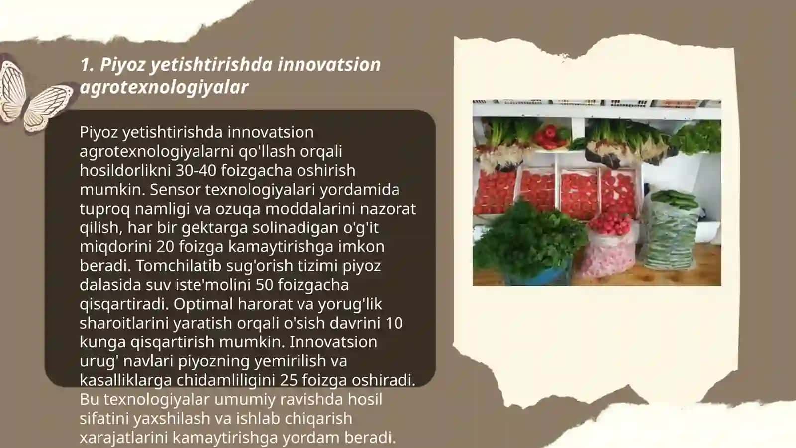Piyozli sabzavotlarning innovatsion texnalogiya asosida yetishtirish 3