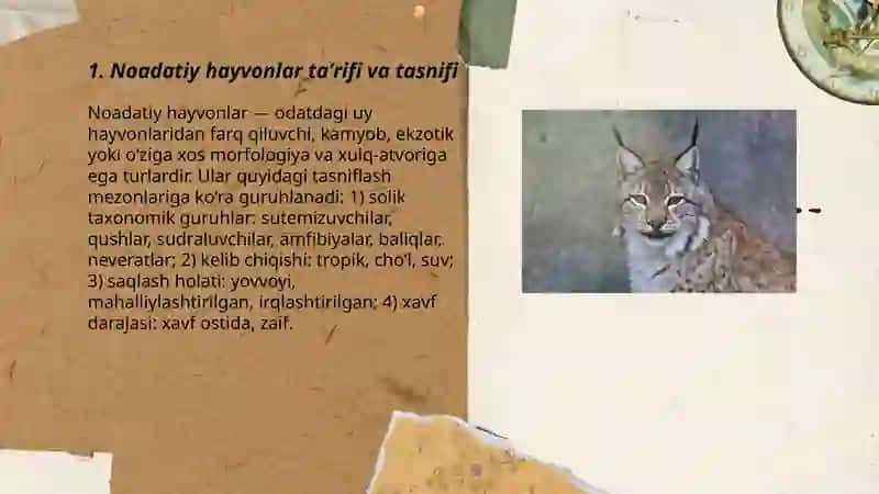 Noadatiy hayvonlar haqida 3