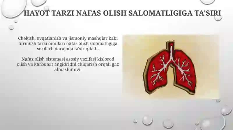 Nutq nafas bo'limining anatomo-fiziologik faoliyati 3