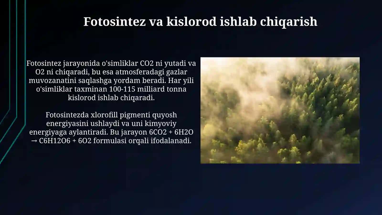 Fotosintez va kislorod ishlab chiqarish 3