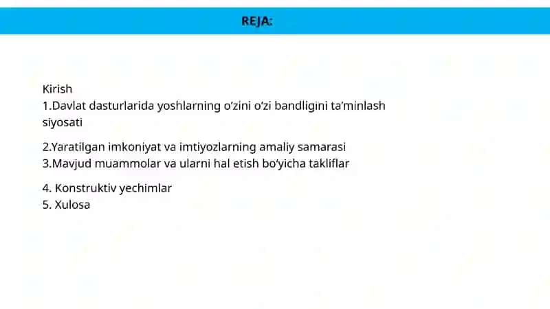 "Davlat dasturlarida yoshlarni o'zini o'zi bandligini ta'minlash bo'yicha yaratilgan imkoniyat va imtiyozlar ” mavzusidagi elektron malaka ishi" 3