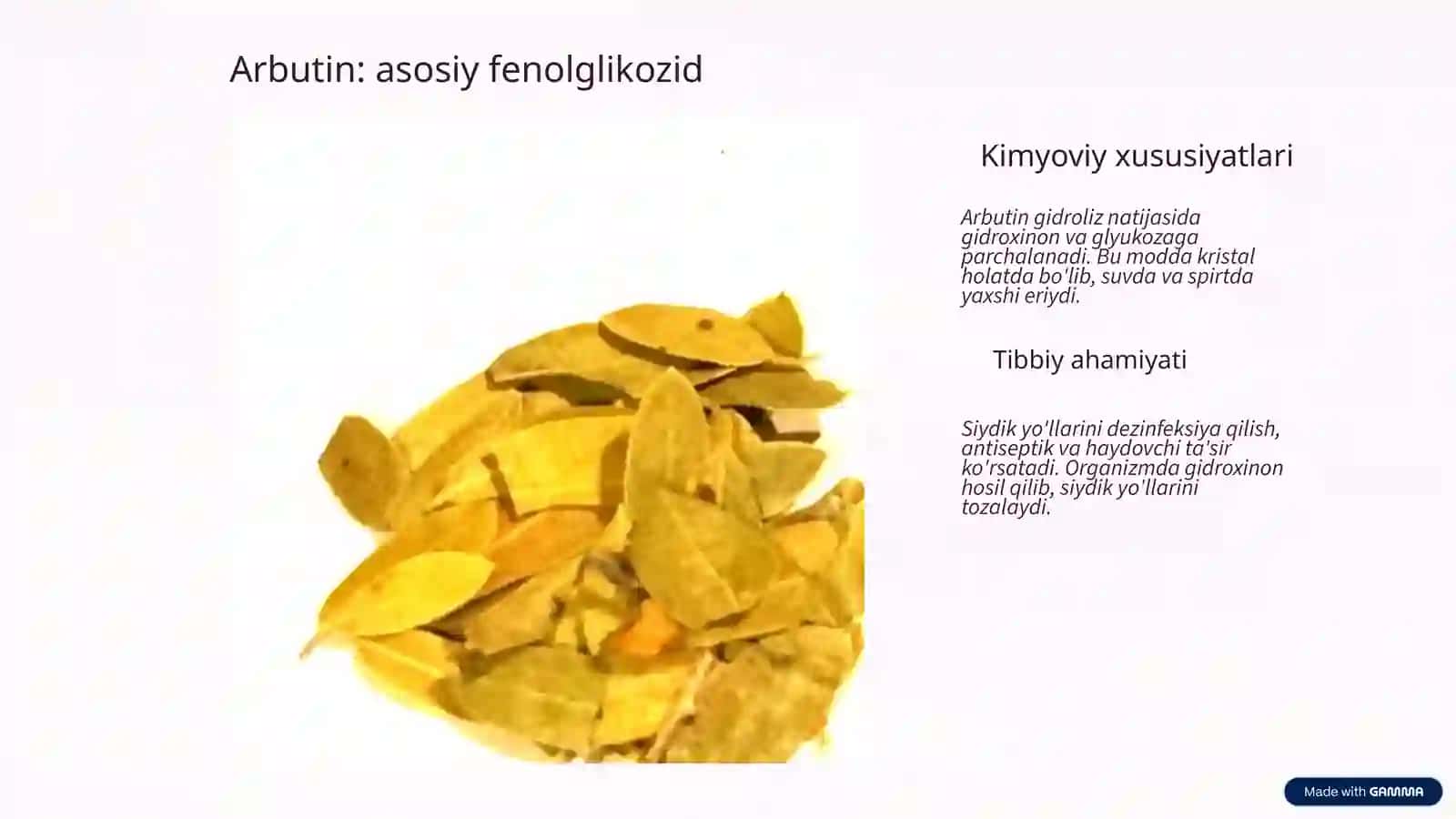 Fenolglikozidlar bo'lgan dorivor o'simlik va mahsulotlar 3