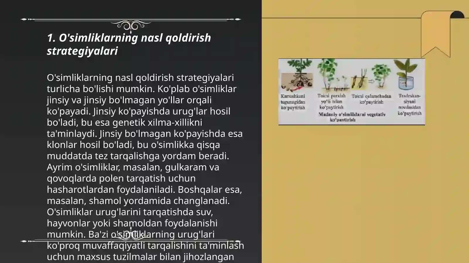 O'simliklarni qayta tiklanishi va ko'payishi 3