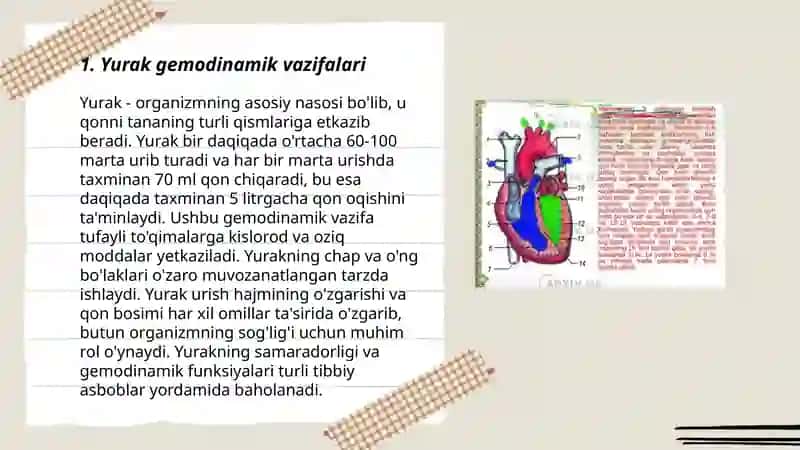 Yurak gemodinamik vazifasi. Yurak mushagini oʻtkazuvchanligini oʻzgarishini fiziologik asosi 3
