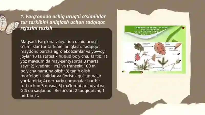 Farg'onada ochiq urug'li osimliklarning tur tarkibini aniqlash,ularning va gerbariy namunalarini tayyorlash 3