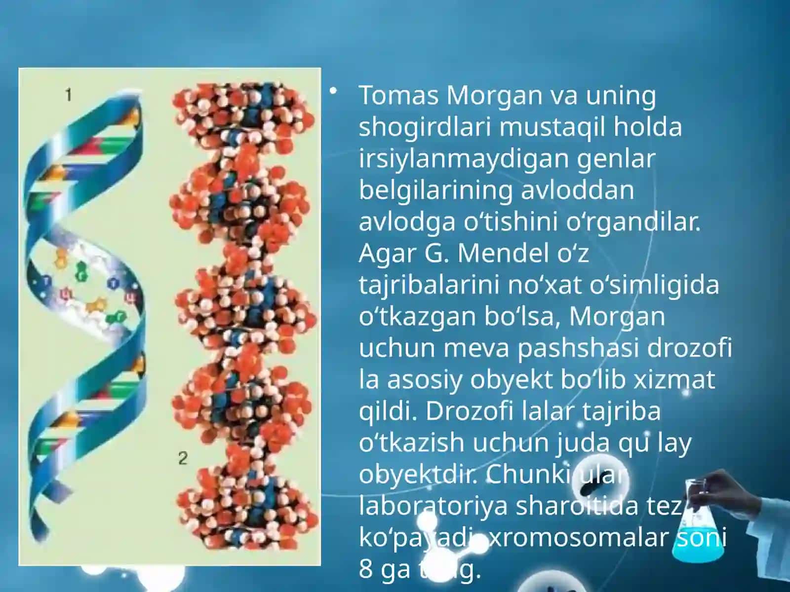 IRSIYATNING XROMOSOMA NAZARIYASI 3