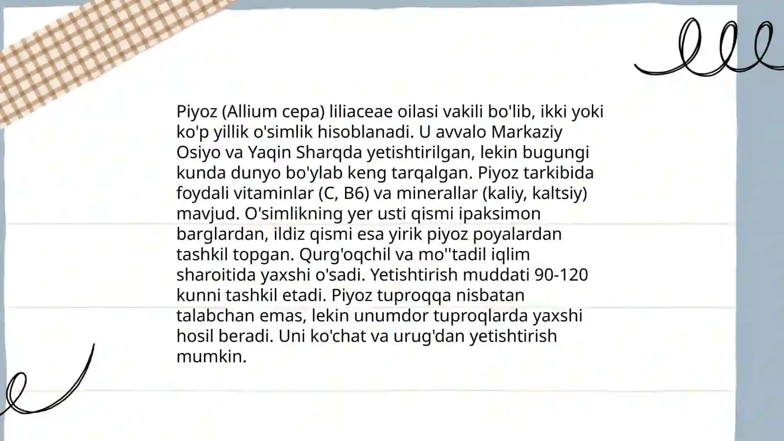 piyoz va uning turlari 3