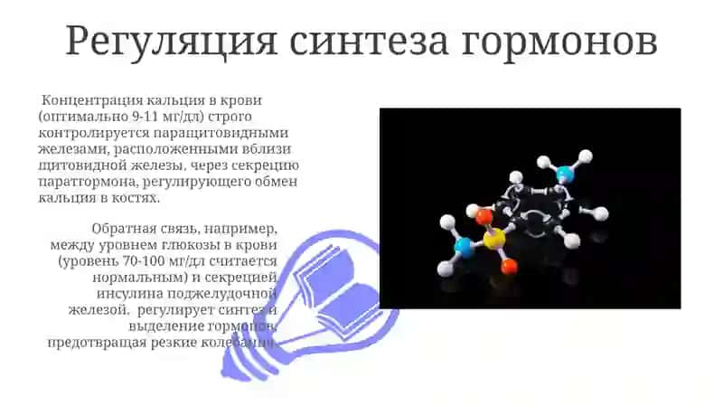 Биохимия гормонов: механизм действия и регуляция 3