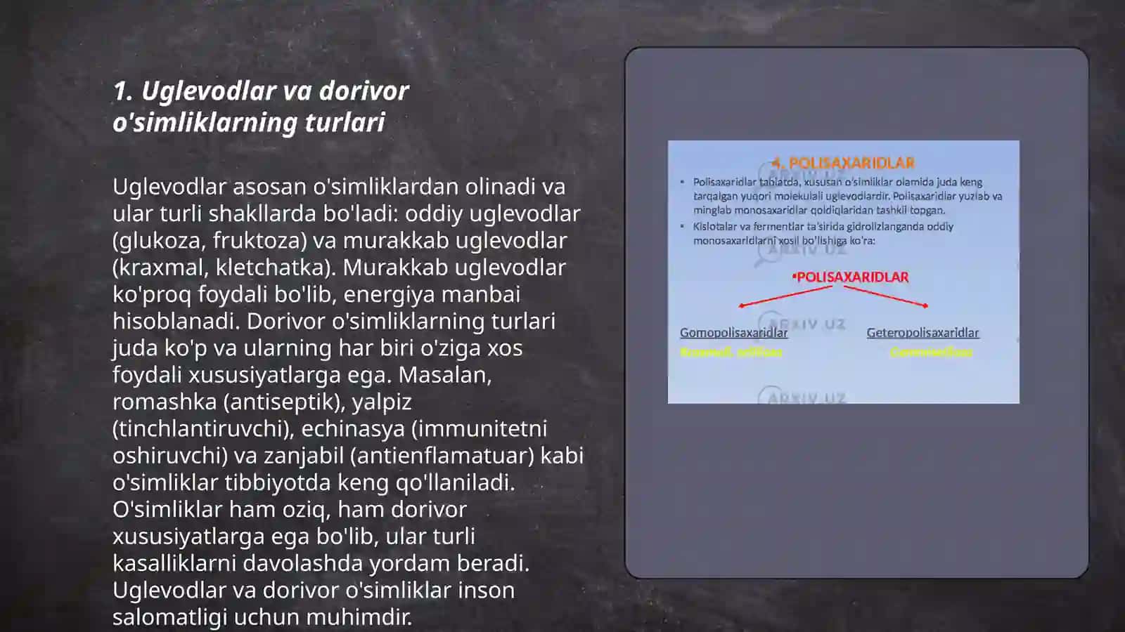 uglevod saqlovchi dorivor o'simliklar 3