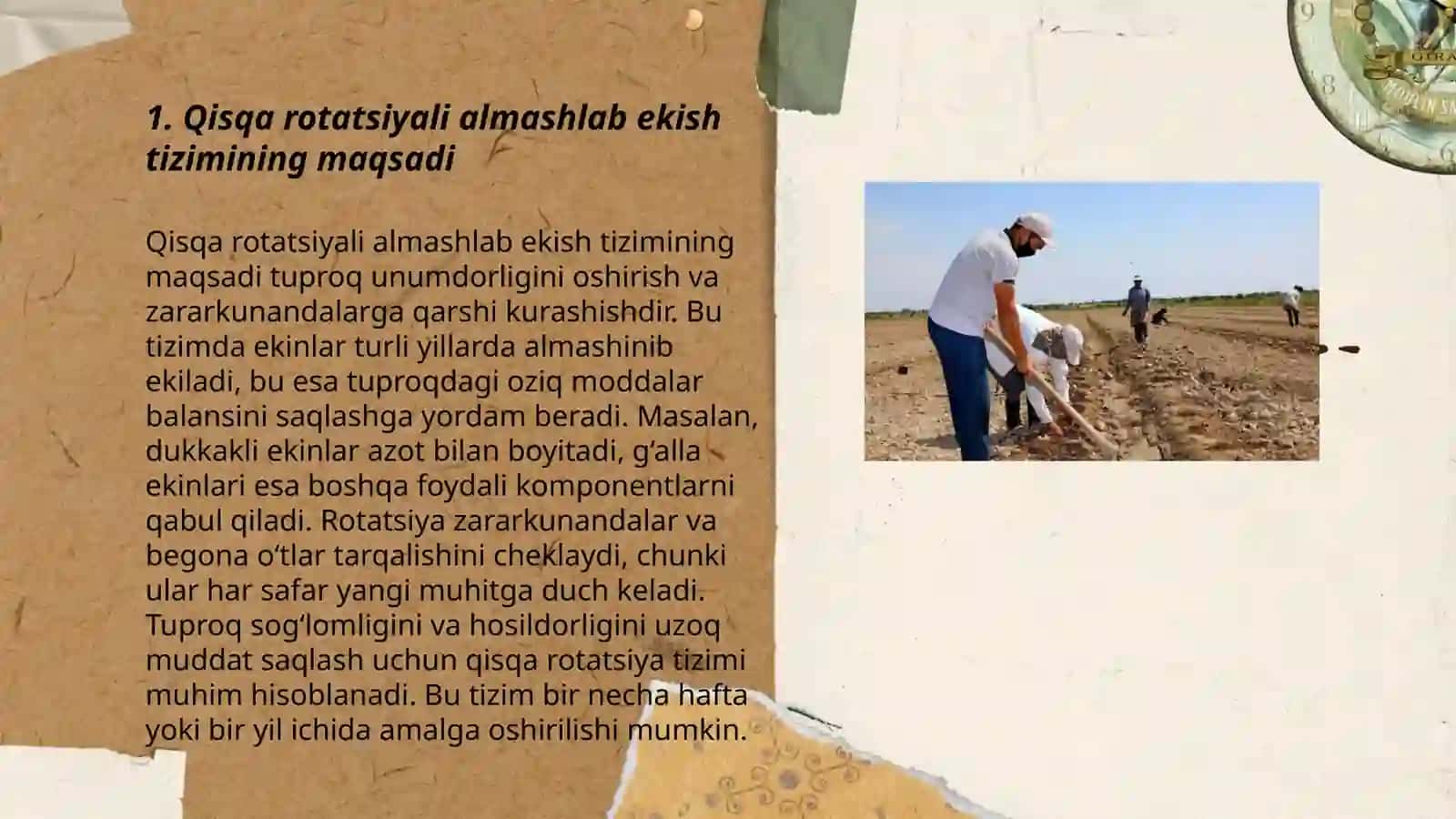 Qisqa rotatsiyali almashlab ekish tizimi 3