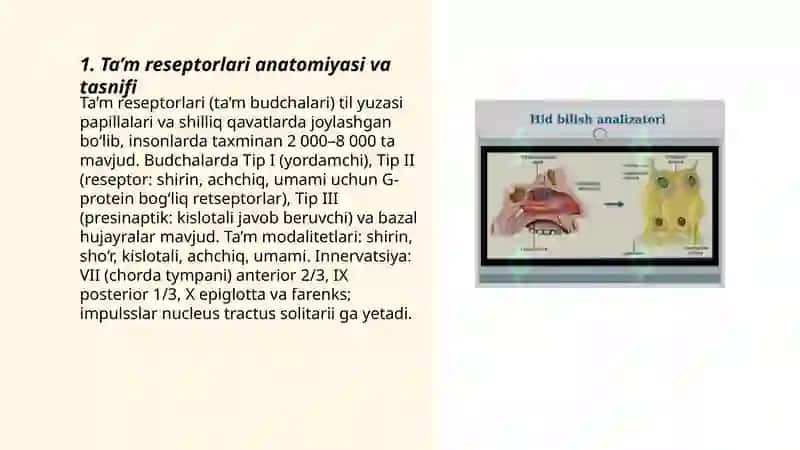Ta’m va hid bilish (oboniy) a’zolarining funksional anatomiyasi 3