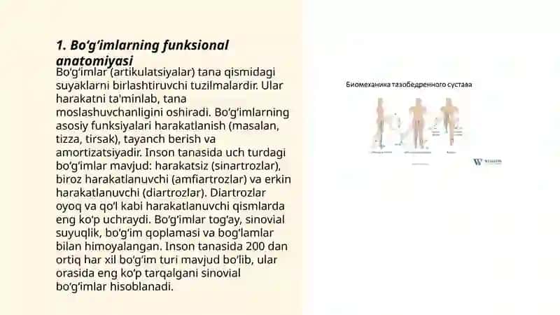 Bo‘g‘imlarning biomexanikasi. Birlashmalarning rentgenanatomiyasi. 3