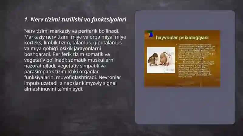 Psixikaning nerv-fiziologik asoslari. Insonlar va hayvonlar psixikasining rivojlanishi 3