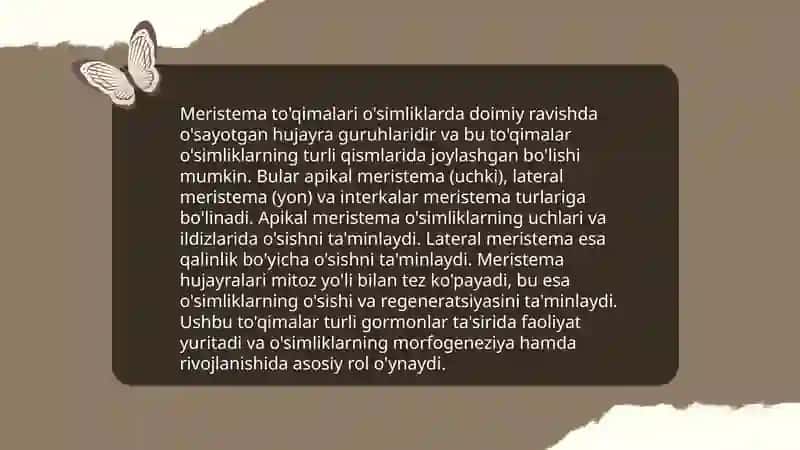 Oʻsimlik toʻqimalarini kelib chiqishiga va joylanishiga koʻra klassifikatsiyasi 3