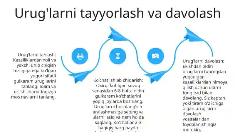 Ochiq Maydon Uchun KoʻChat Yetishtirish Texnologiyasi 3