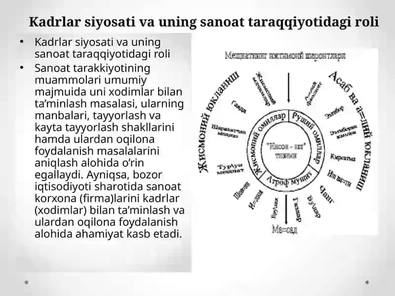 Kadrlar siyosati va uning sanoat taraqqiyotidagi roli 3