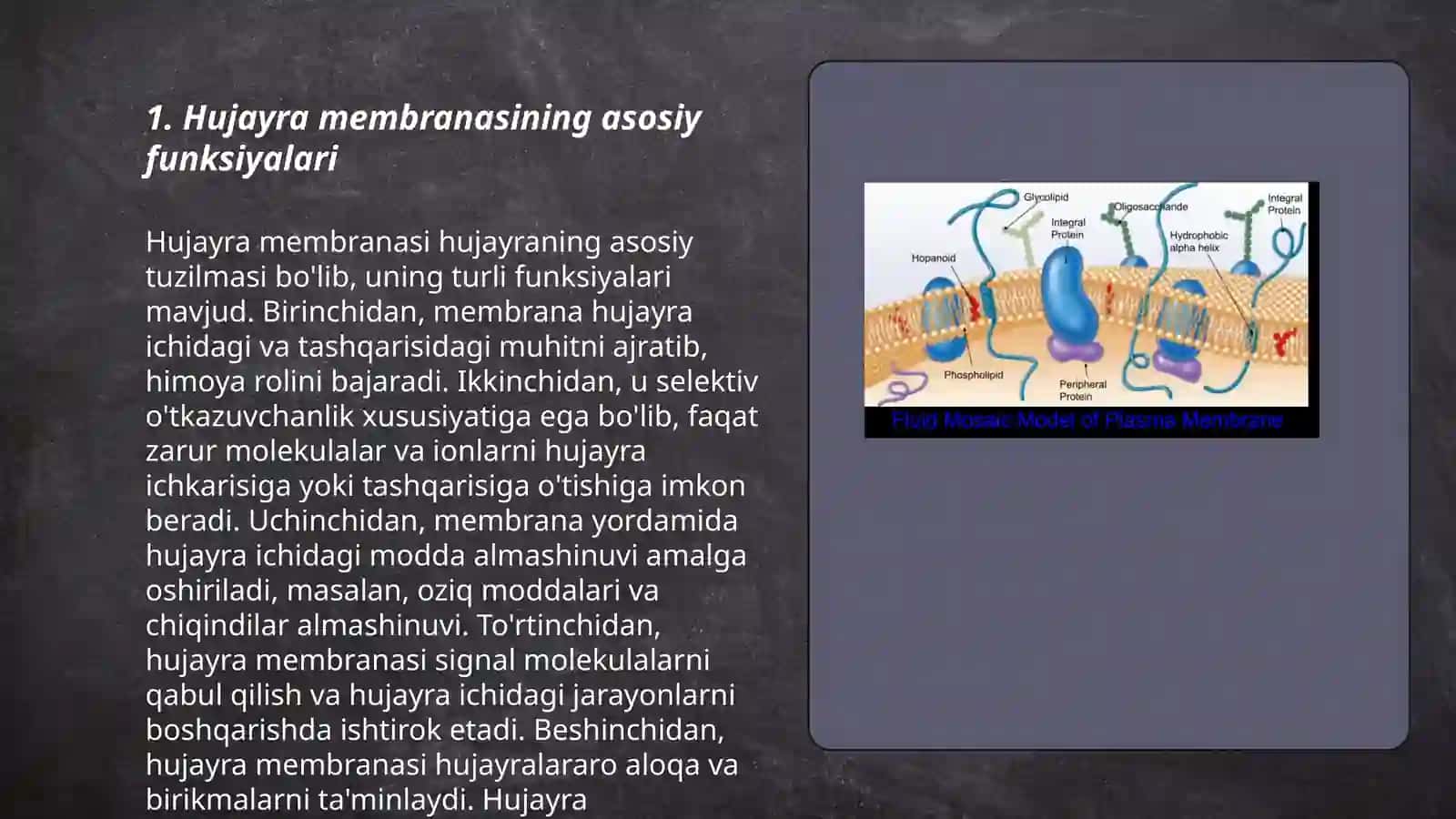Hujayra membranasi tuzilishi va nozik tuzilmalari 3