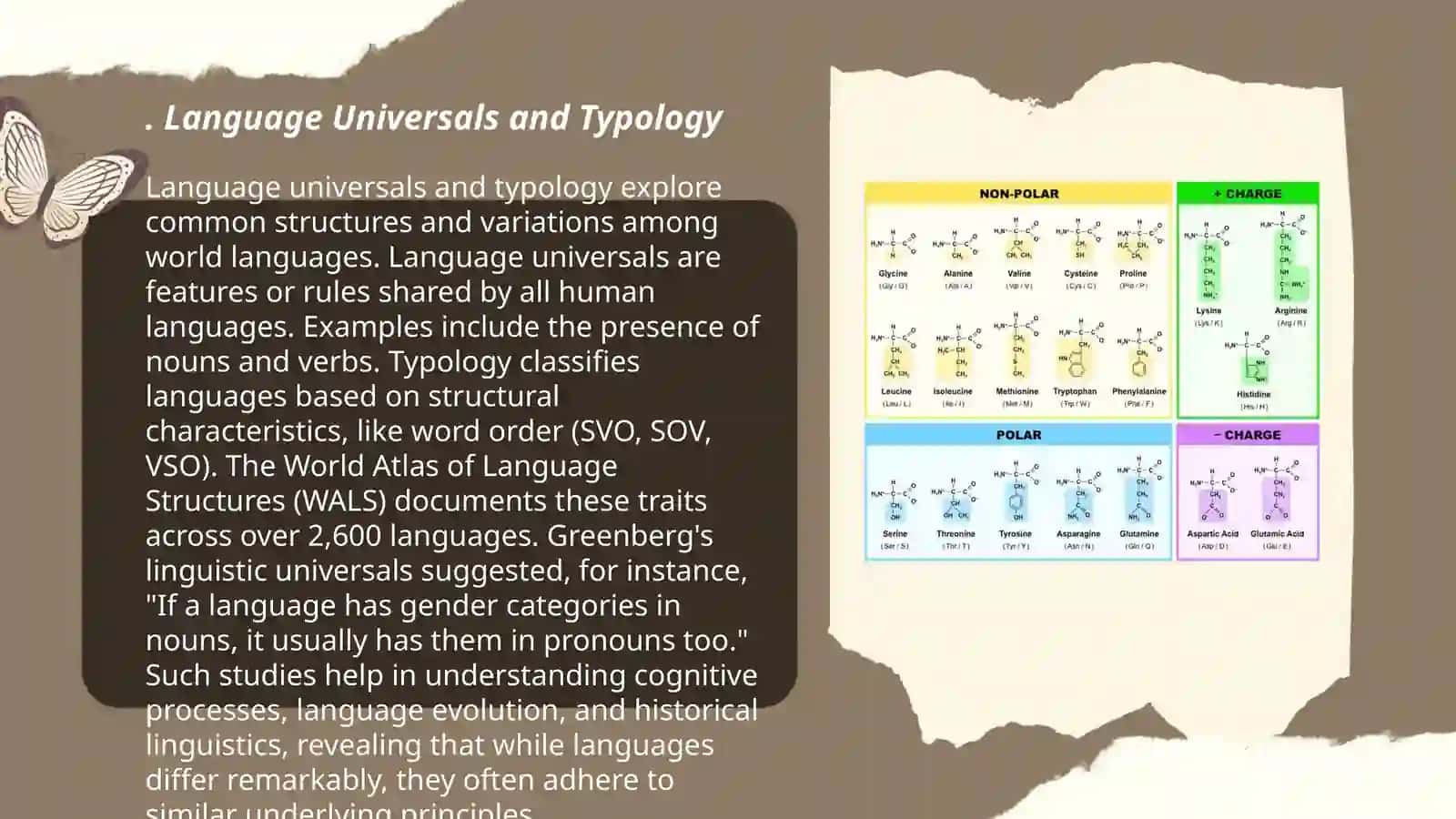 Interrelation of typology with anthropological trends in linguistics 3
