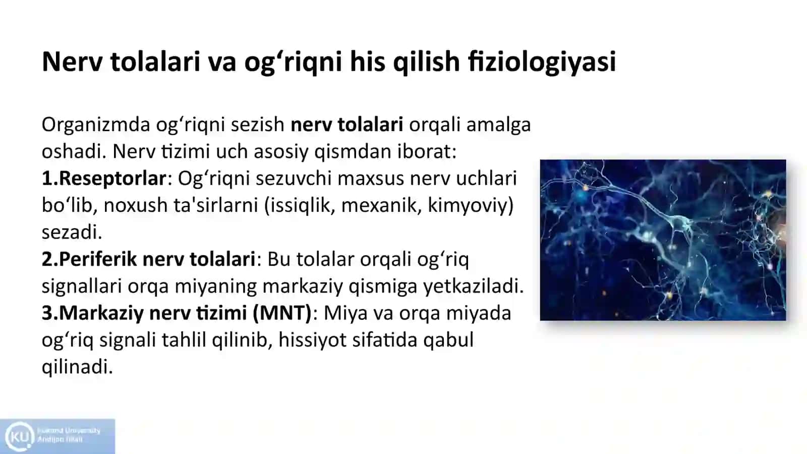 Anesteziya jarayoni va uning fiziologiyasi (nerv tolalari va og'riq) 3
