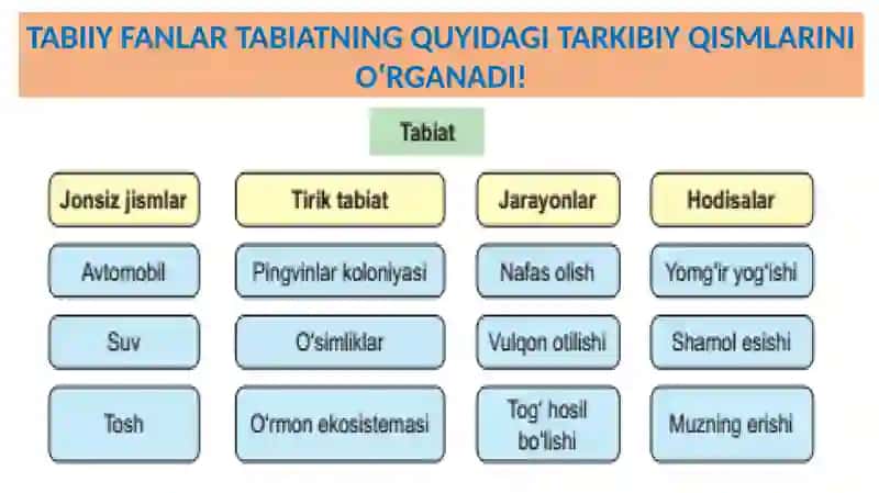 TABIIY FANLAR 3