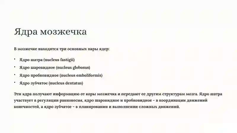 Анатомия мозжечка: Ядра, IV желудочек и ромбовидная ямка 3