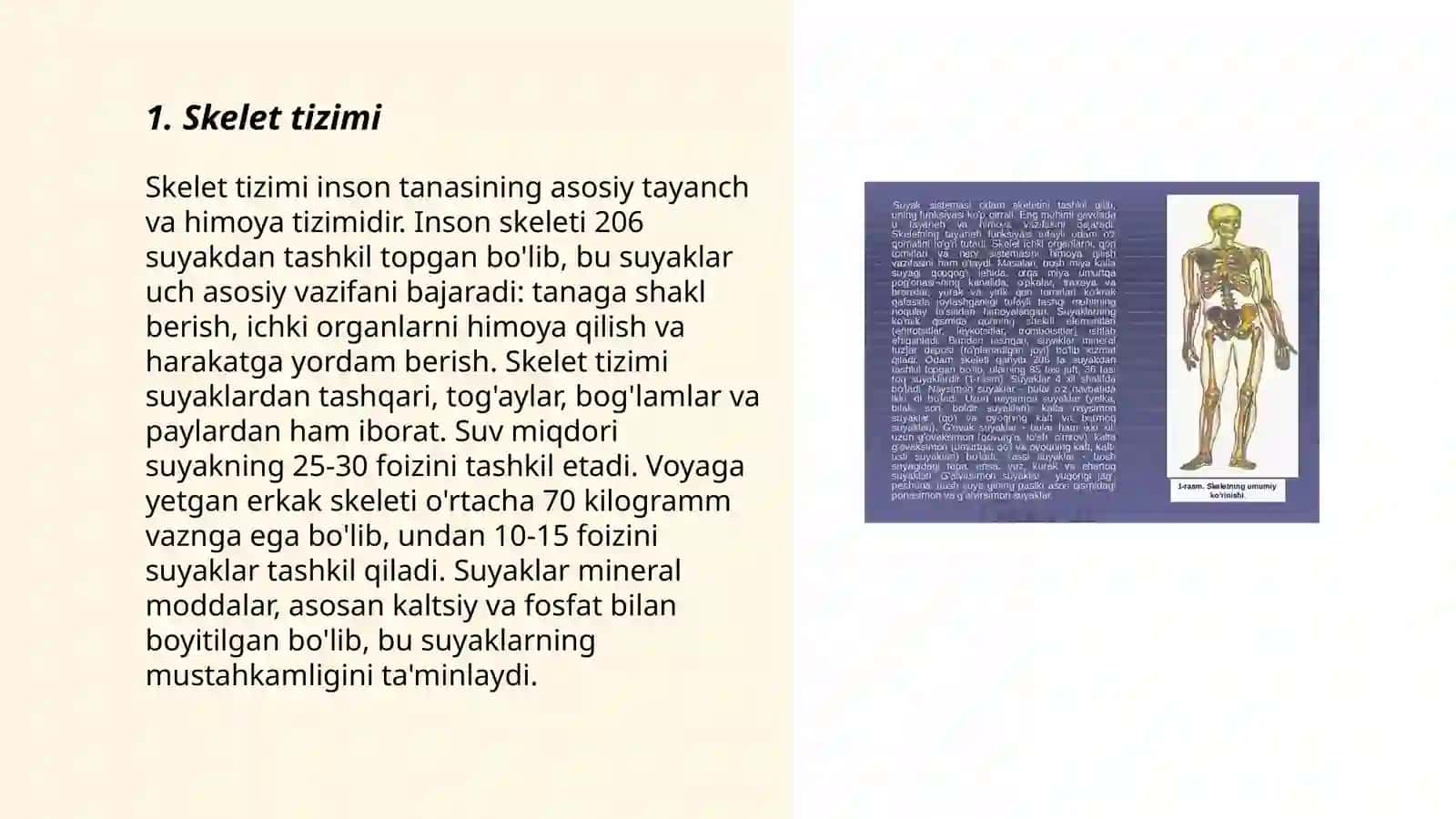 Odam anatomiyasi va fiziologiyasi fani haqida tushuncha 3