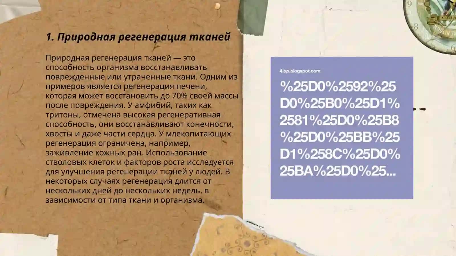 Регенирация 3