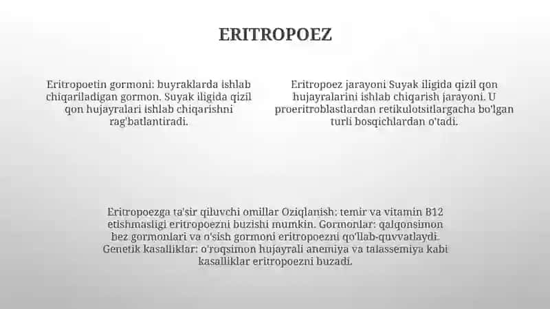 Eritropoez Mexanizimi Va Unga Ta'Sir Etuvchi Omillar 3