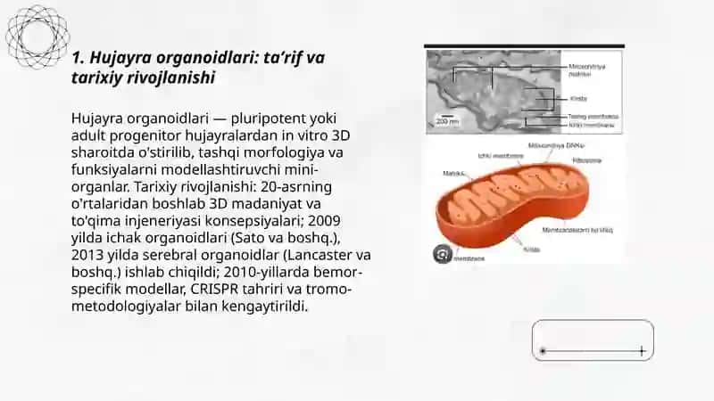 Hujayra organoidlari va hujayraning yarim avtonom organoidlari. Sitoskelet 3