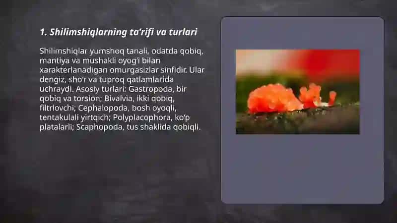 Shilimshiqlarning tarqalishi va ahamiyati 3