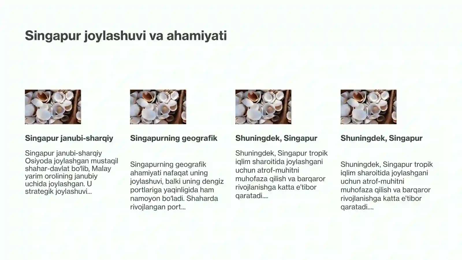 Singapur davlati va rivojlanish yo'llari 3