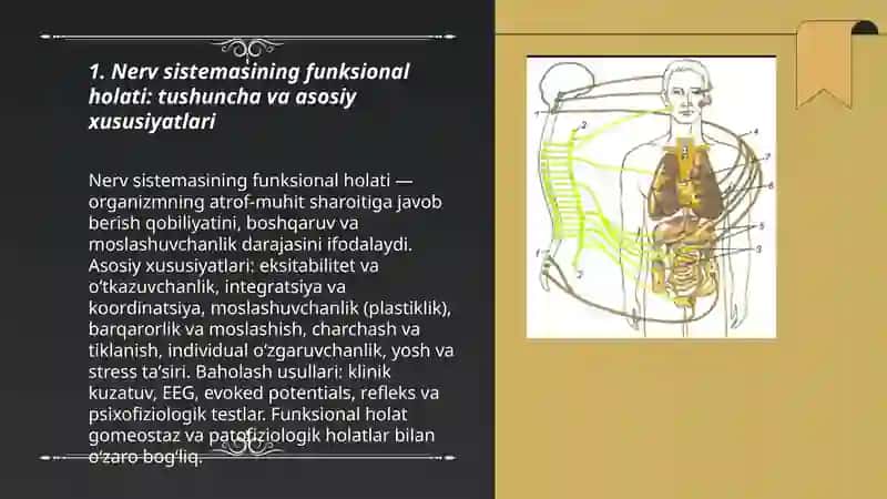 Nerv sistemasining funksional holati 3