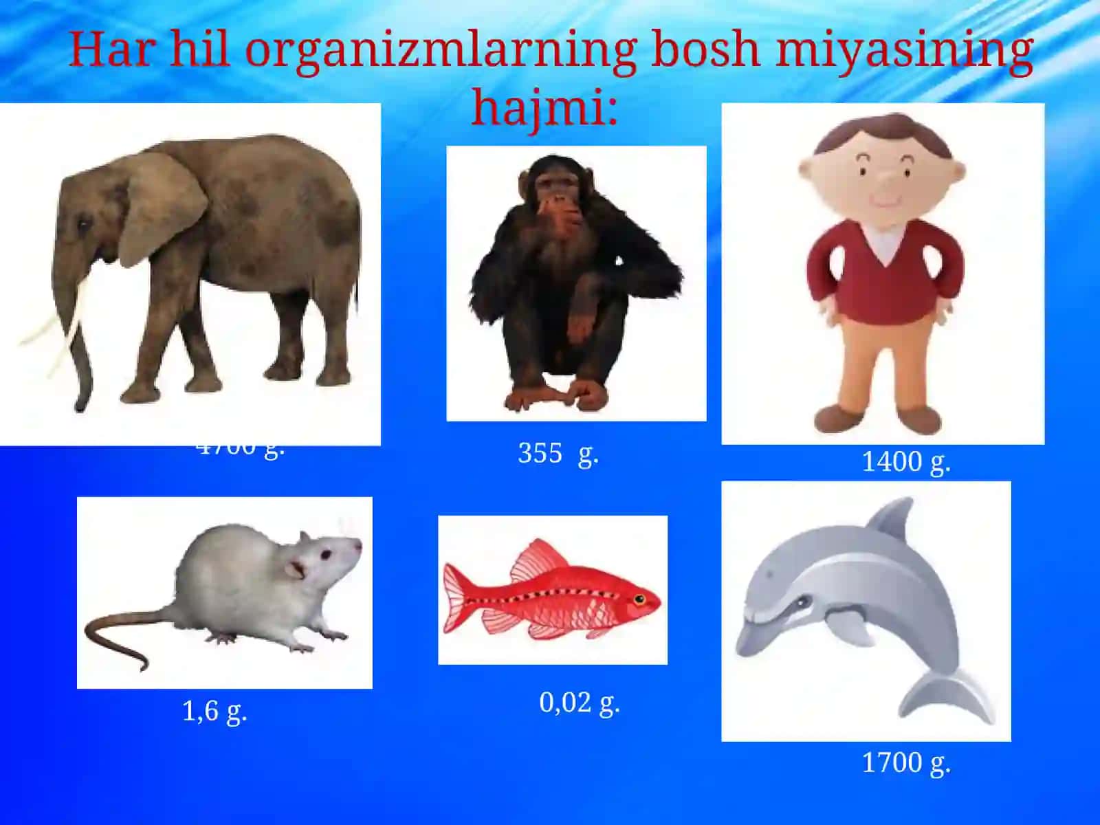 Oliy nerv faoliyatining tiplari. Oliy nerv faoliyatining yosh xususiyatlari 3