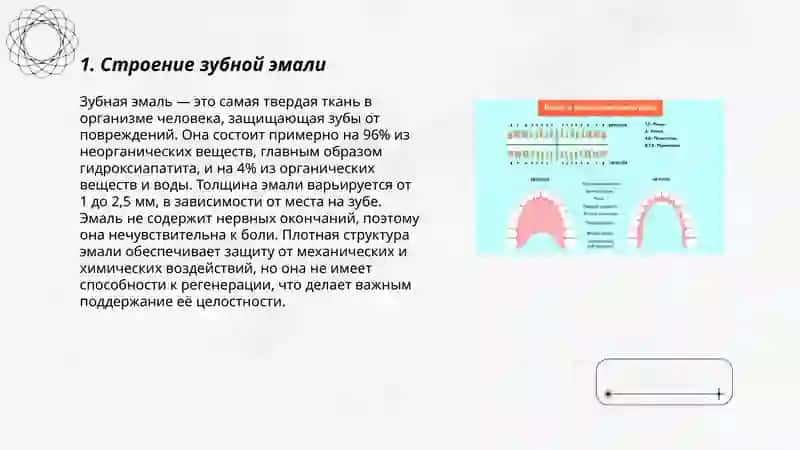 Строение зубной эмали 3