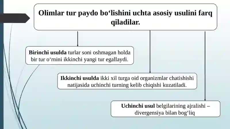 Turlarning paydobo`lishi 3