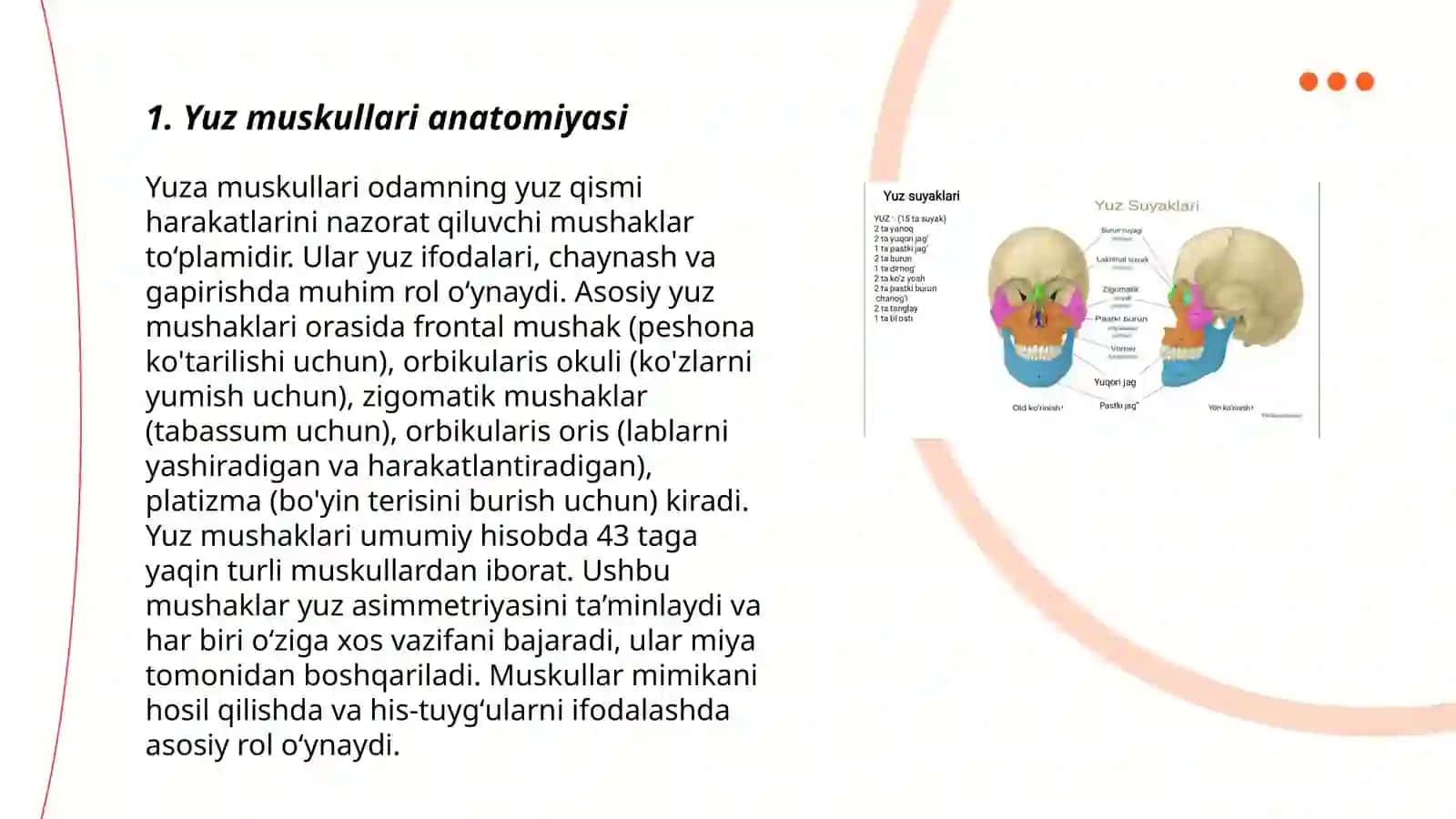 Yuz mimika mushaklarining tuzilishi va ularning funksional ahamiyati 3