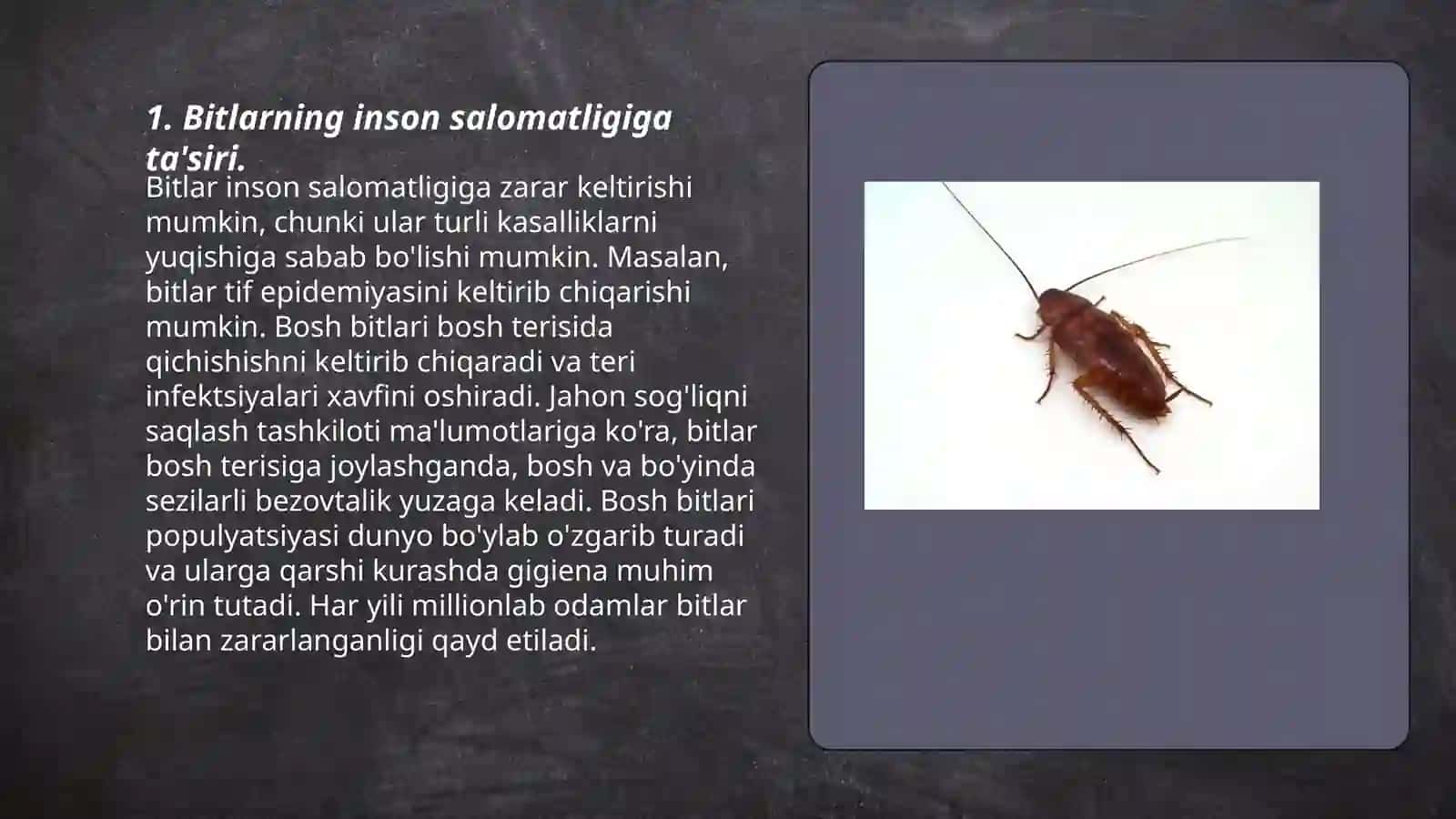 Bitlarning inson salomatligiga ta'siri 3