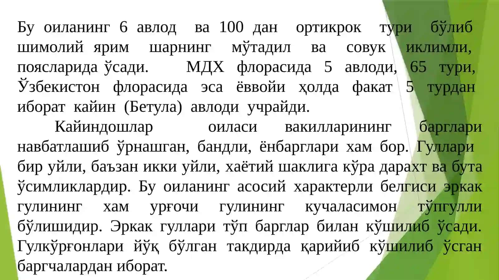 Қайиндошлар (ВЕТULАСЕАЕ) ОИЛАСИ 3